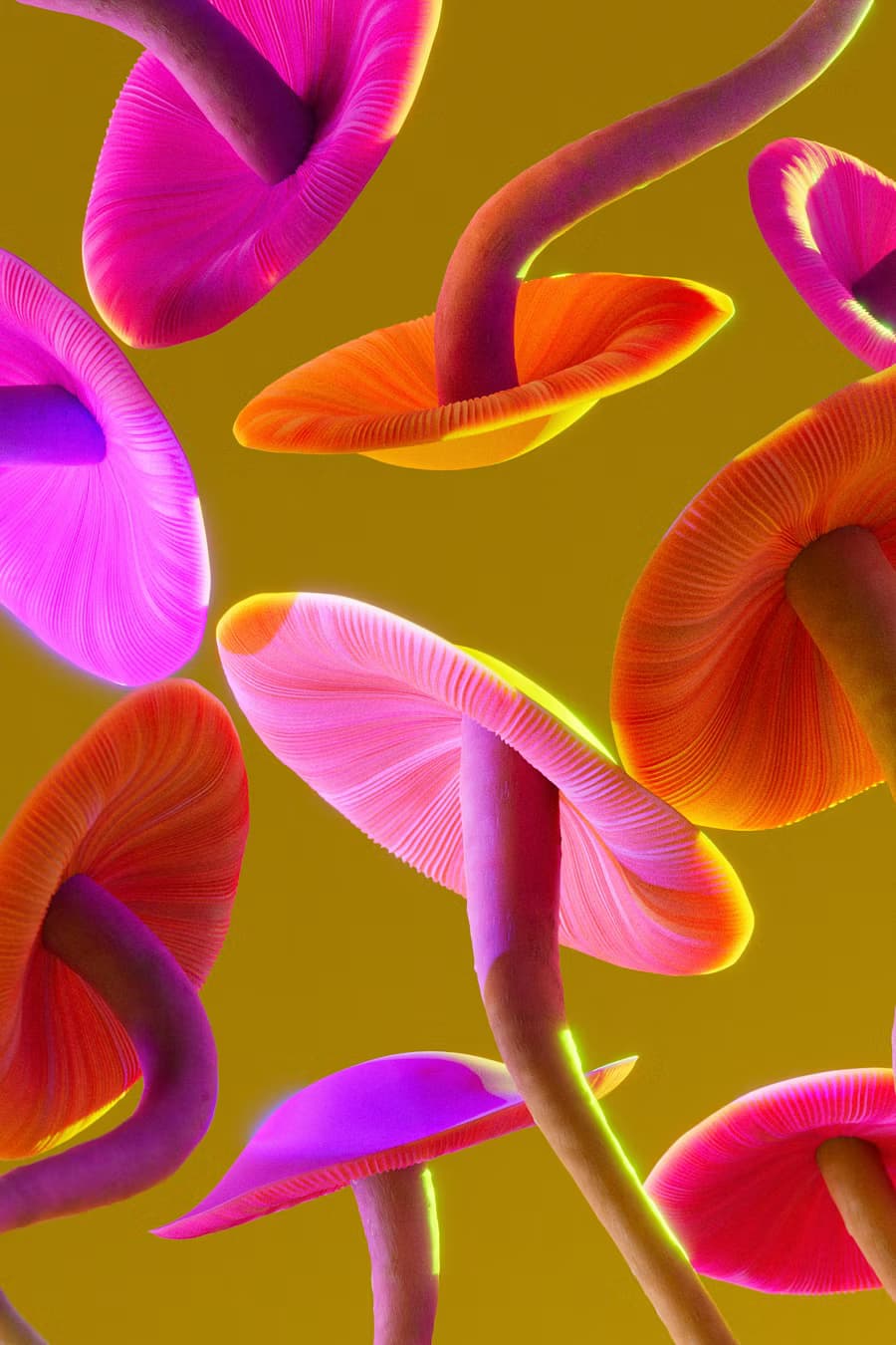 Liquid Sunset Trip